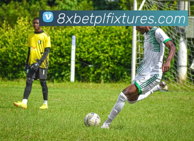 vào 8XBET bằng 4G APP Ảnh bìa